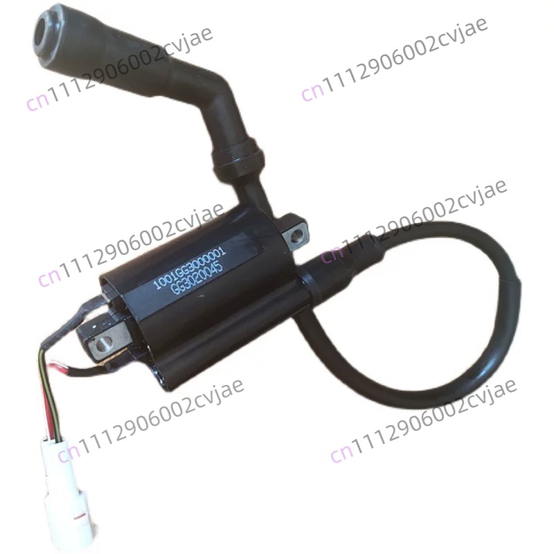 ZT310-V X T R1 2 Motorcycle Hi - Motorcycle Spark Plug 评论和价格
