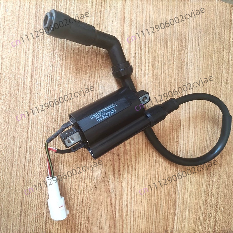 ZT310-V X T R1 2 Motorcycle Hi - Motorcycle Spark Plug 评论和价格