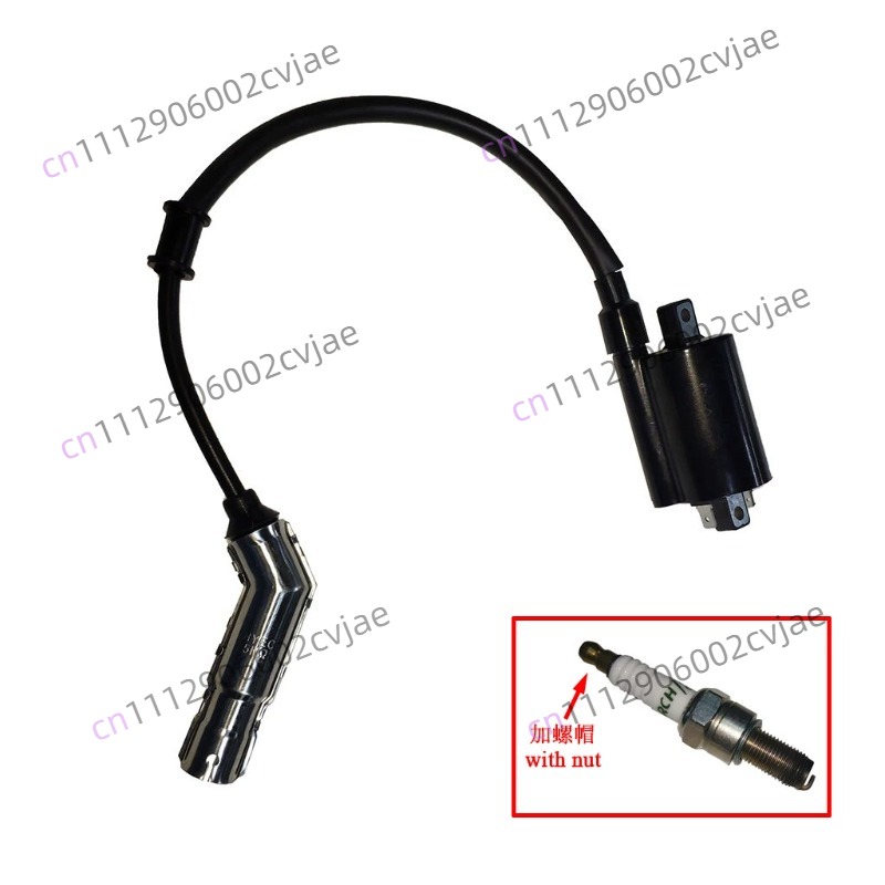 ZT310-V X T R1 2 Motorcycle Hi - Motorcycle Spark Plug 评论和价格